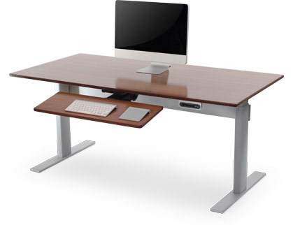 NextDesk Adjustable Height Standing Desk
